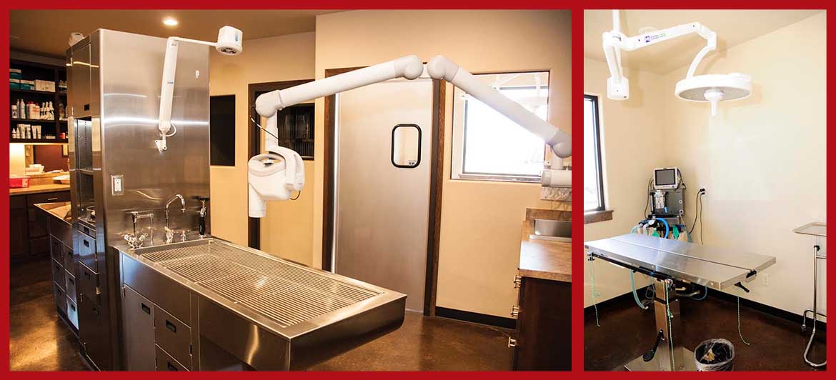 Veterinary Medical Imaging in Weatherford, TX North Texas Veterinary